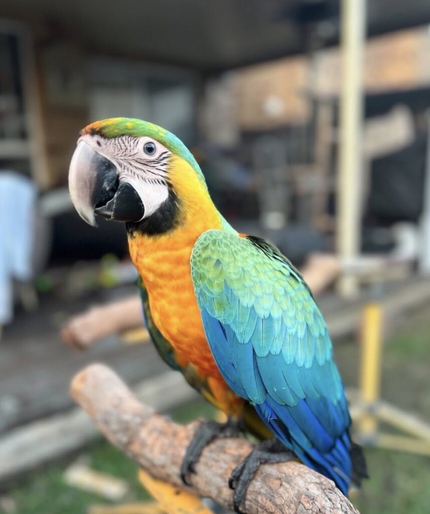 IMG 0156